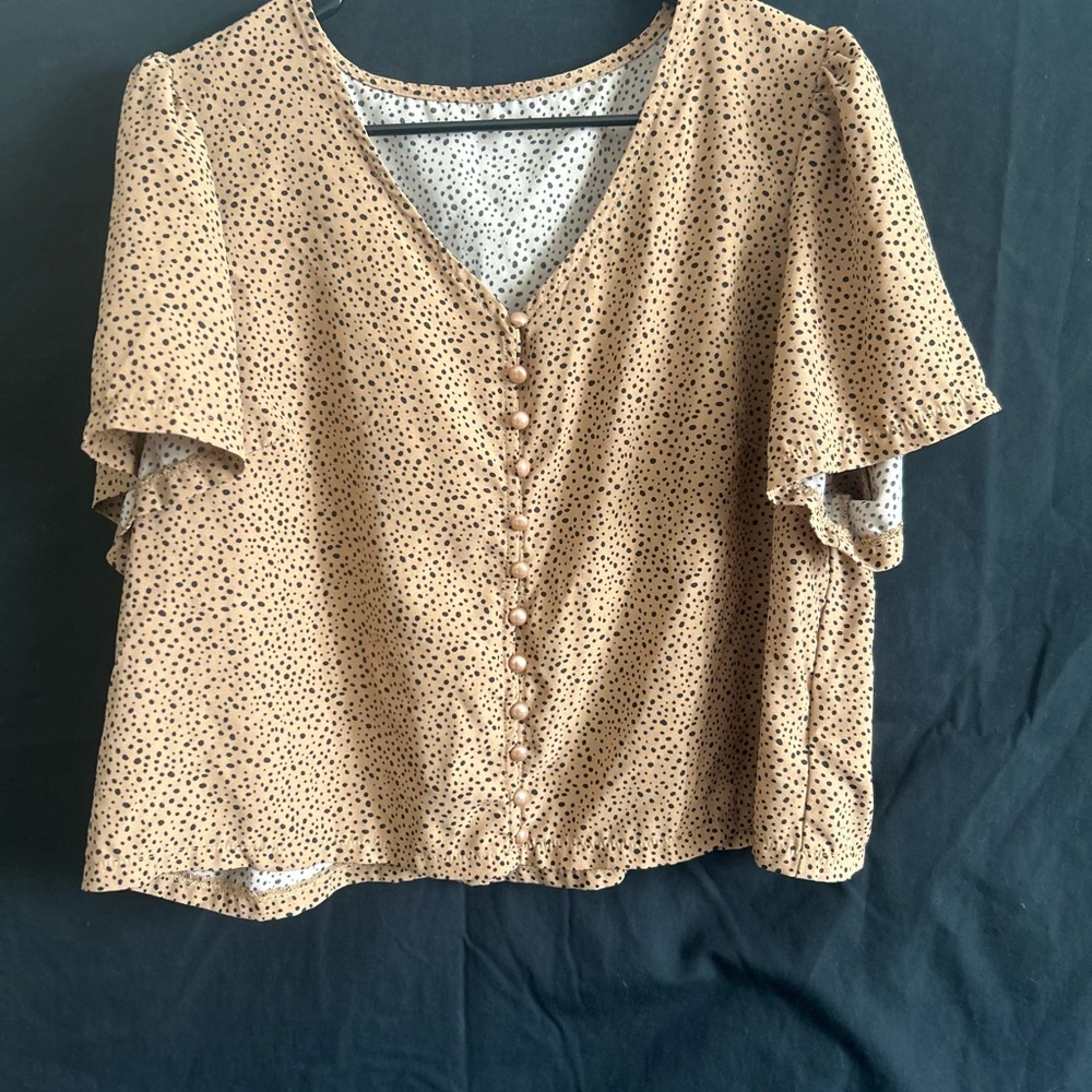Polka Dot Tan Blouse